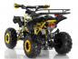 Preview: Kinder Quad Apollo Sportrax 125cc 8 Zoll